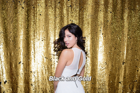 Black & Gold Interactive Reversible Sequins Backdrop