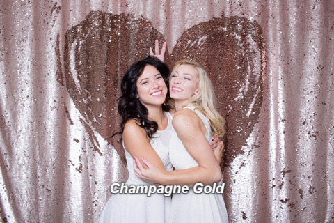 Champagne Gold Interactive Reversible Sequins Backdrop
